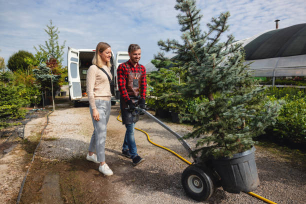 Best Tree Risk Assessment  in Northeast Ithaca, NY